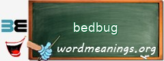 WordMeaning blackboard for bedbug